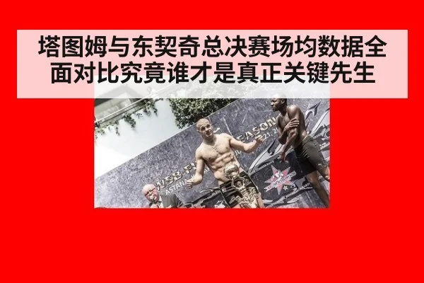 塔图姆与东契奇总决赛场均数据全面对比究竟谁才是真正关键先生