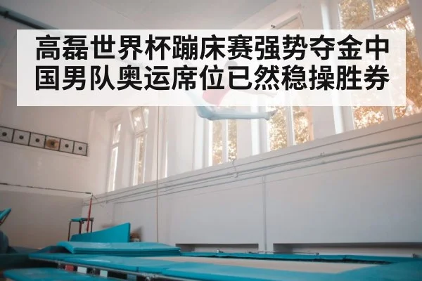 高磊世界杯蹦床赛强势夺金中国男队奥运席位已然稳操胜券